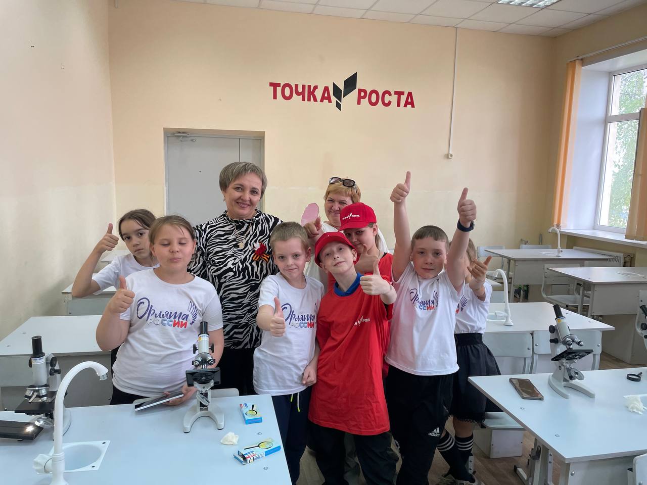 Исследовательская работа «Загадочная плесень».